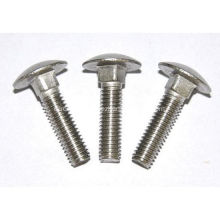 Stainless Steel Carriage Bolt